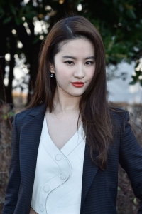 刘亦菲高清写真图集2095张图/49个视频/22.75G