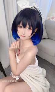 Seele麦麦 – 全套17期&随包视频[4.2G-2025.6]（0060）